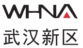 武汉新区建投